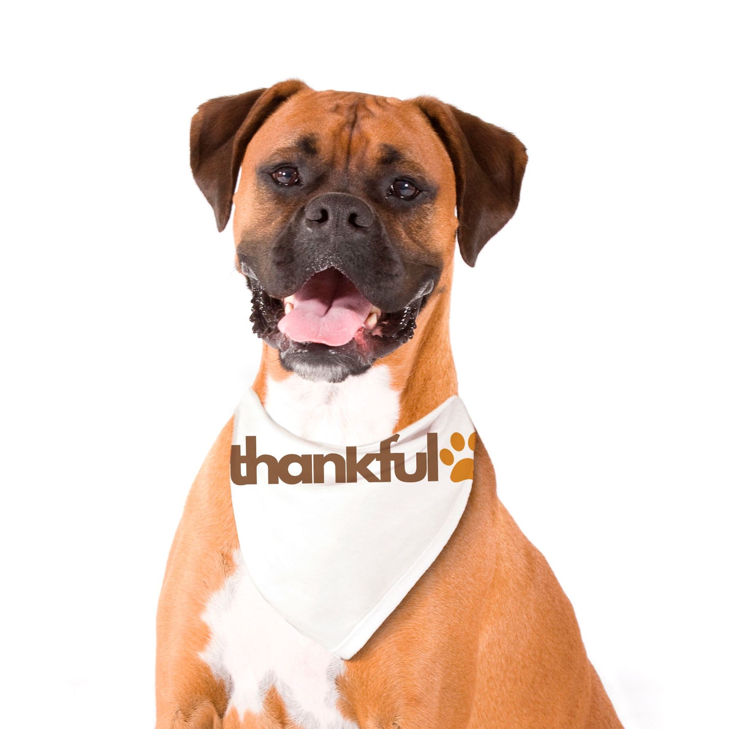 Thankful Large Pet Bandana