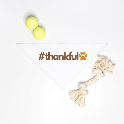 Thankful Small Pet Bandana