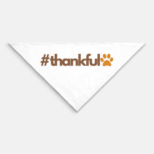 Thankful Large Pet Bandana